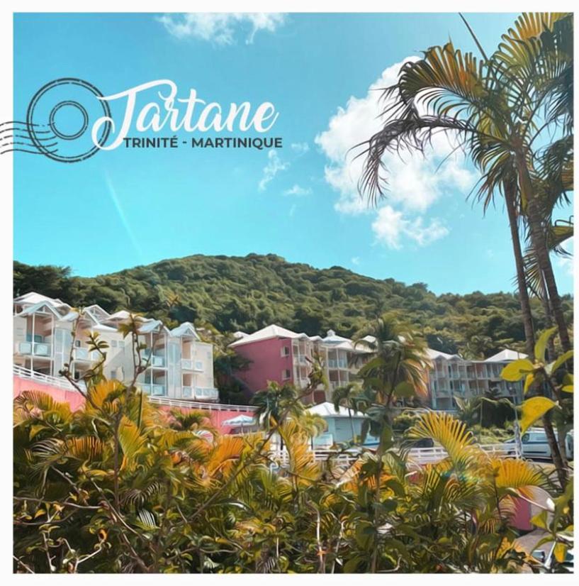 Residence De La Baie - Bleu Soleil Tartane La Trinité Dış mekan fotoğraf