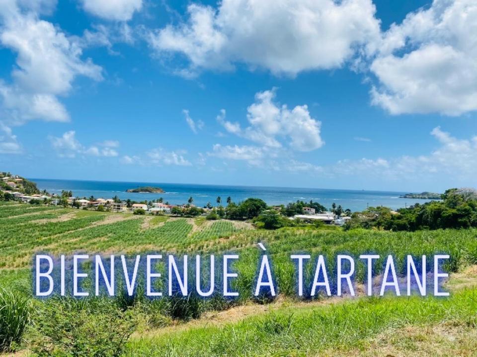 Residence De La Baie - Bleu Soleil Tartane La Trinité Dış mekan fotoğraf